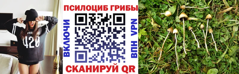 Галлюциногенные грибы Cubensis  Купить где  Моздок 